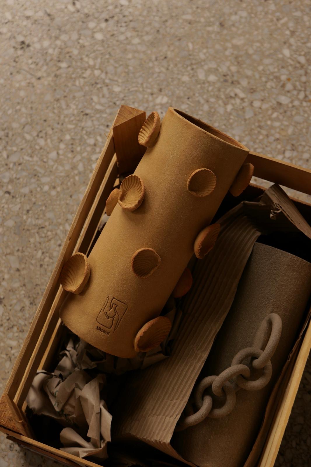 GIOIA (coquillage)