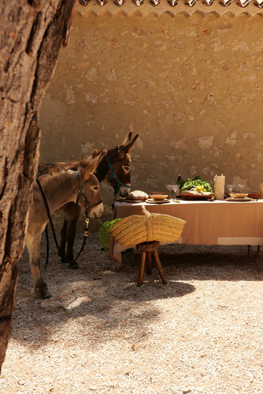 La nappe AGAPE