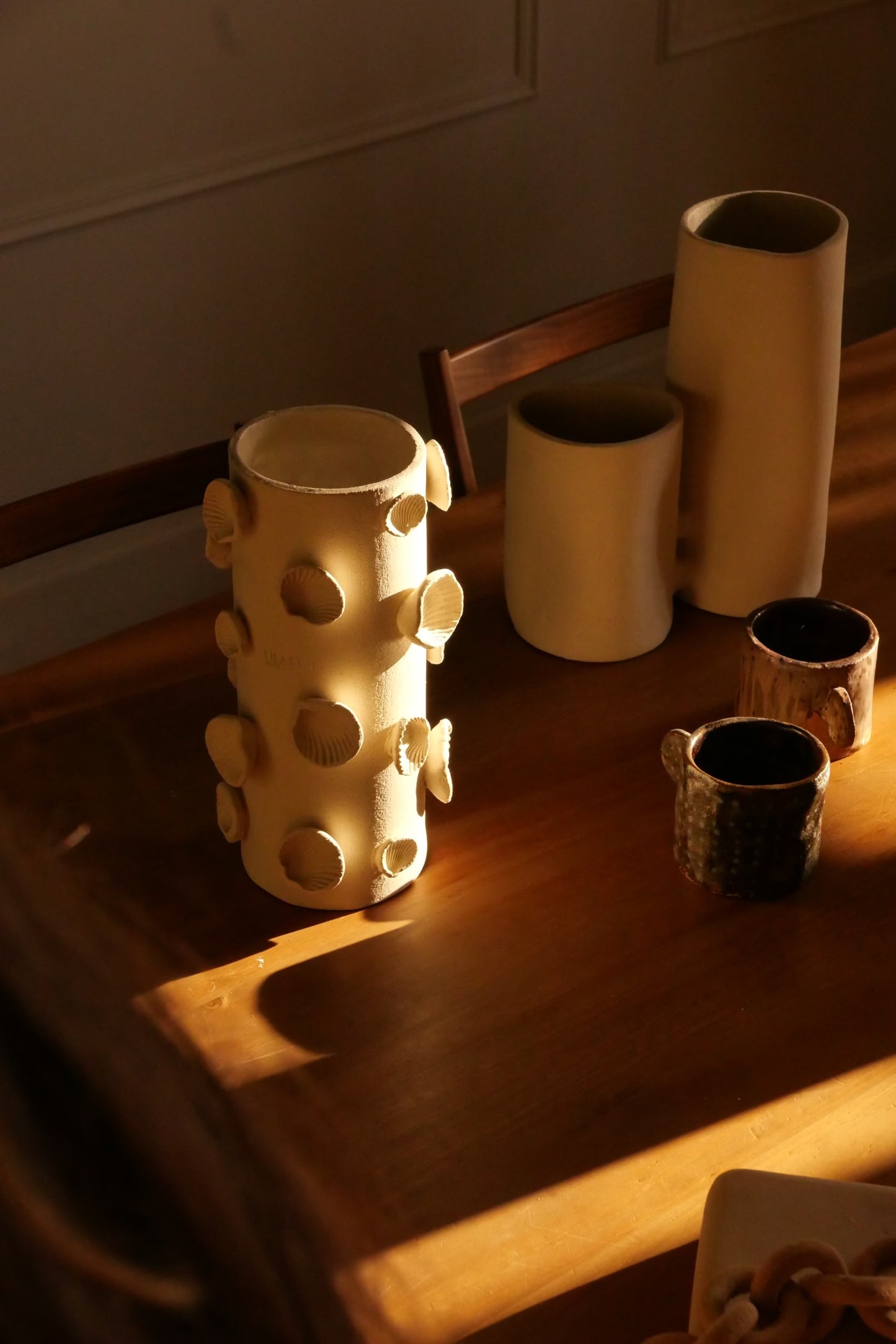 GIOIA (coquillage)