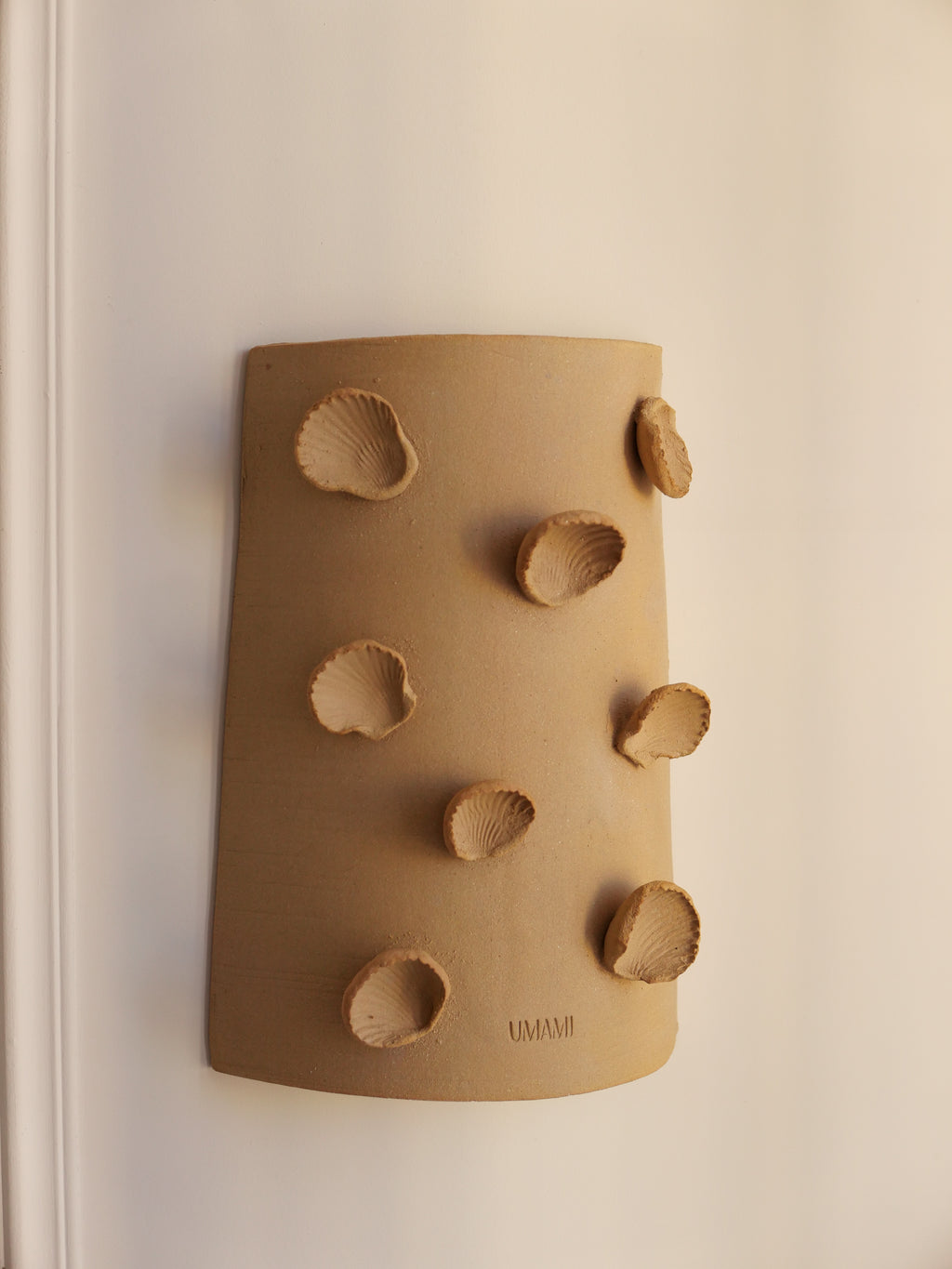 Applique Gioia (coquillage)