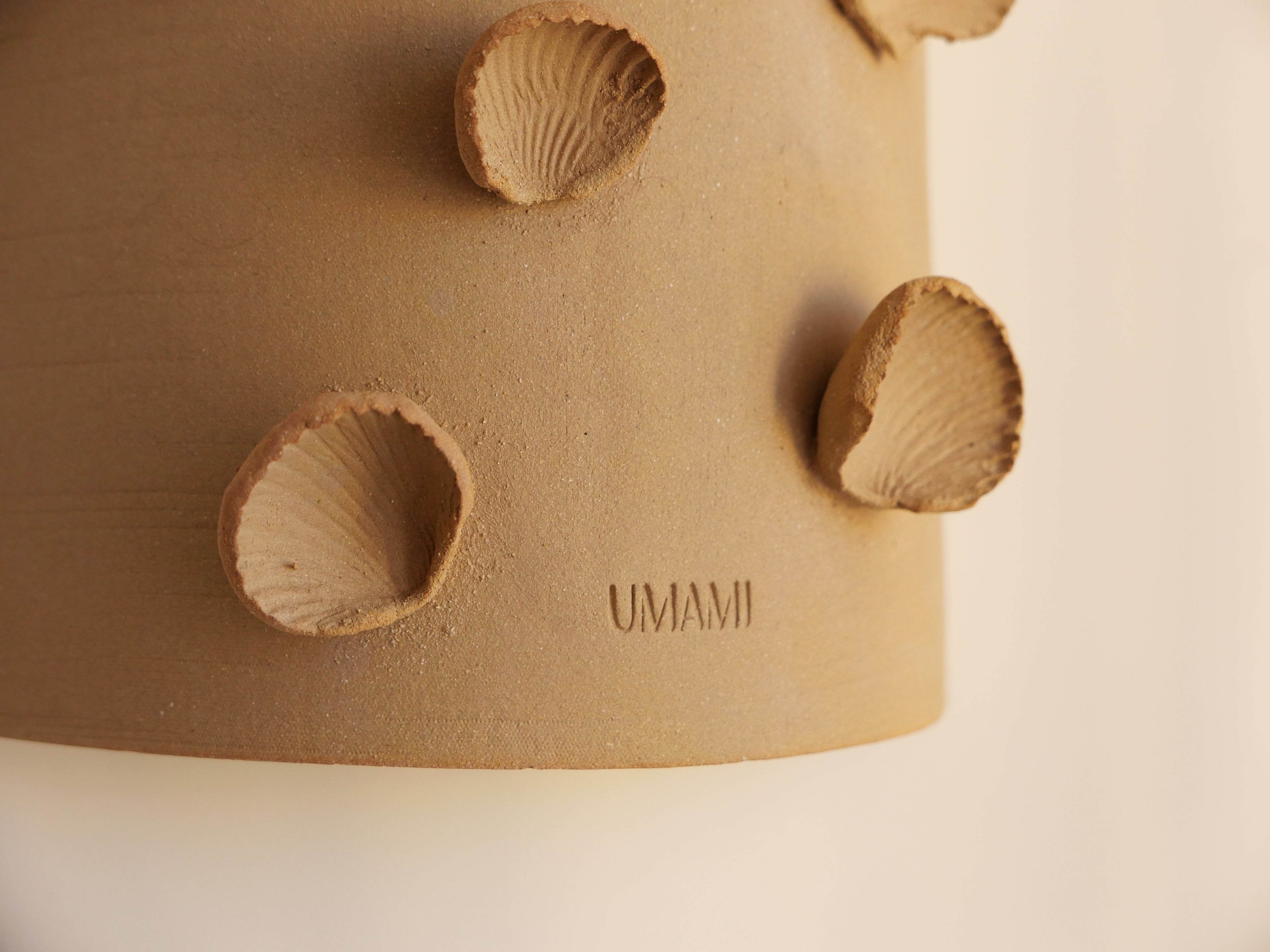 Applique Gioia (coquillage)