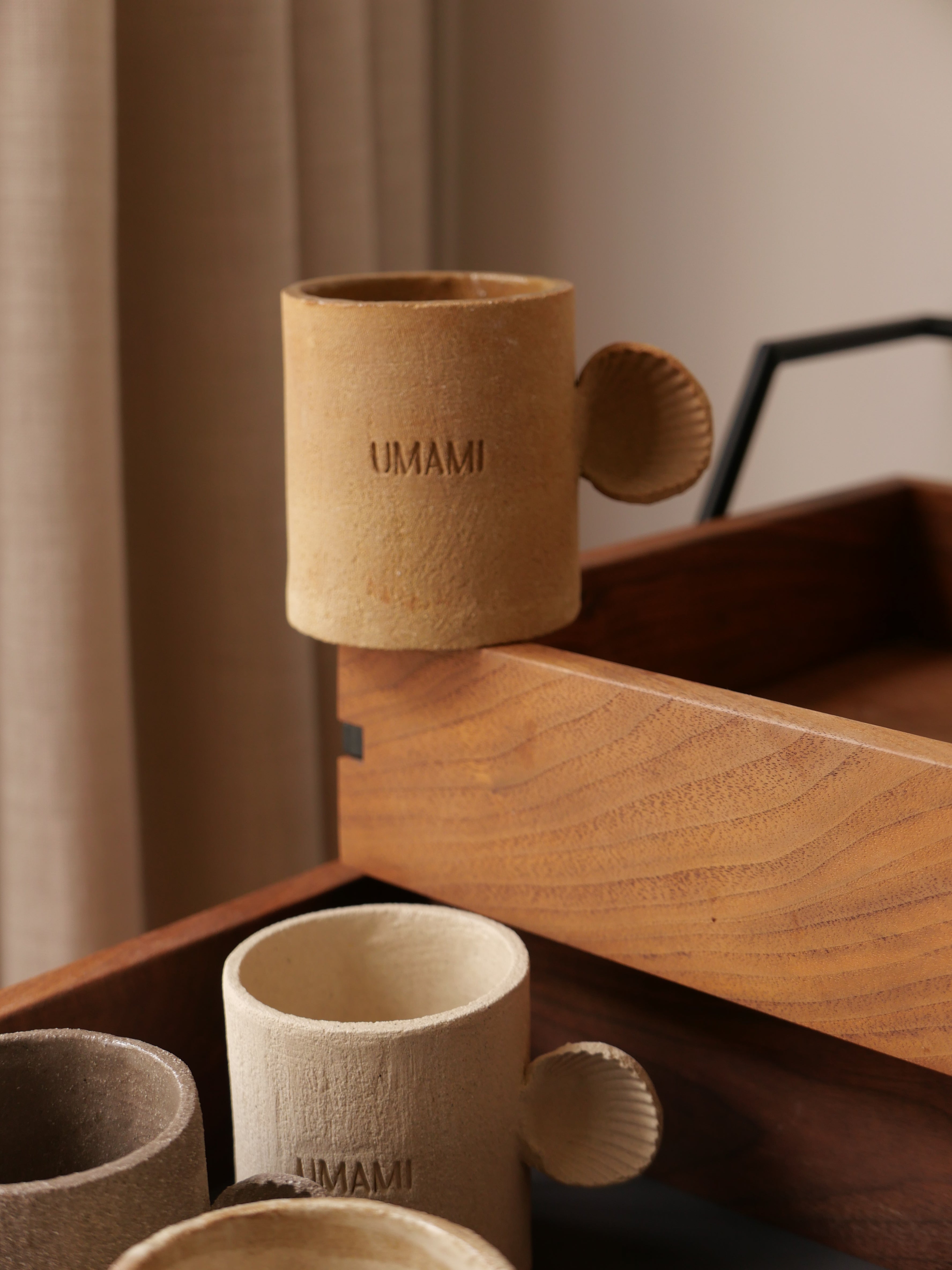 Lot de 3 tasses coquillages - non reconduit